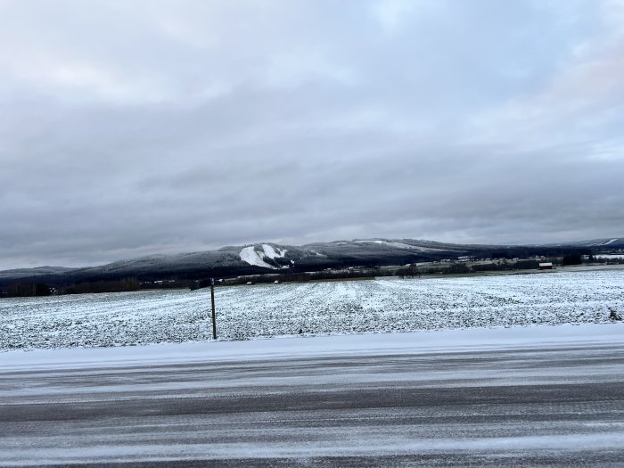 Snötäckt landskap, molnhimmel, kala träd, vinterväg, berg i bakgrunden, snöspår på fält.