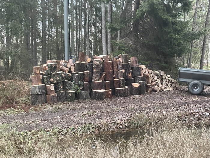 Staplade vedträn, släpvagn, skog, tidig vår eller höst, utomhus.