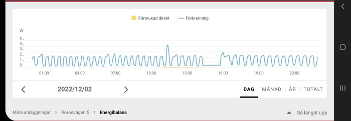 Energianvändningsdiagram över tid, fluktuerande mönster, daglig förbrukning, gränssnitt för energihanteringssystem.