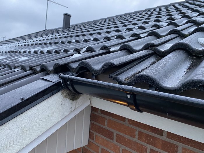 Takpannor och hängränna på hus, våt yta, molnig himmel, möjlig nyligen regn.