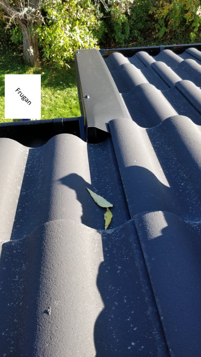 Tak med svarta plattor, ränna, skugga av människa, träd i bakgrunden, löv på taket, solig dag.