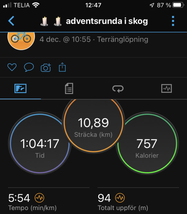 Skärmbild av träningsapp visar terränglöpning, distans 10,89 km, tid 1:04:17, kalorier 757.