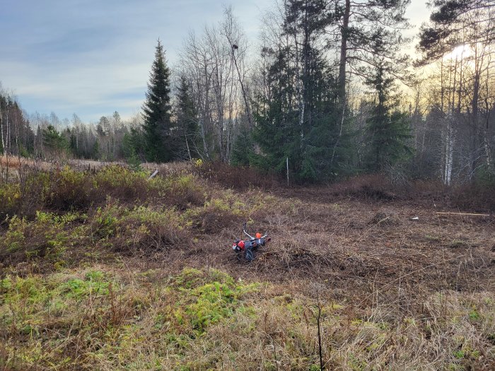 Skogsmark med nedfallna löv, grenar, en övergiven röd cykel, träd i bakgrunden och disigt himmelsljus.