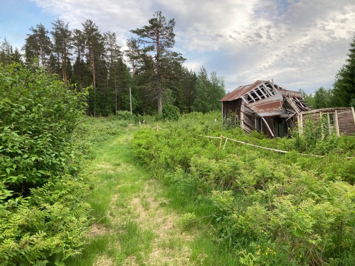 Övergiven stuga, förfaller, i skogsbryn, molnig himmel, grönskande vegetation, glömt landskap, stig leder fram.