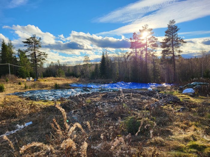 Skogsparti, avverkat område, blå presenningar, solstrålar, moln, rörigt landskap, avfall eller täckt mark.