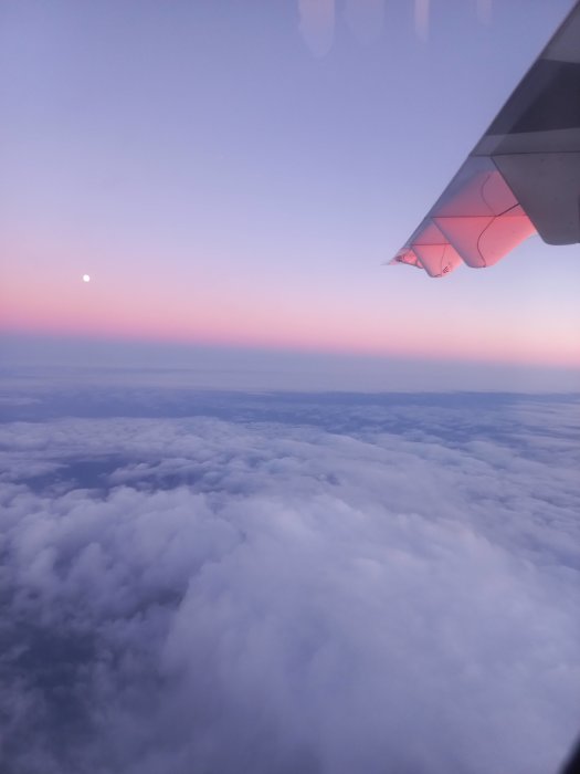 Utsikt från flygplansfönster över molntäcke vid solnedgång eller gryning med synlig måne och vingen reflekterar rosa.