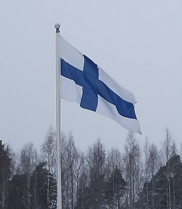 Finsk flagga vajar i vinden, frostigt trädlandskap i bakgrunden, grå himmel, vinterdag.