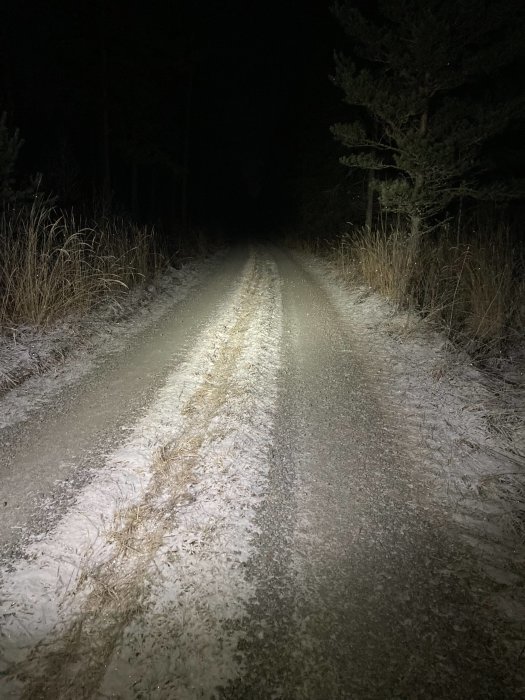 En mörk, snötäckt skogsväg belyst av en ficklampa eller strålkastare nattetid.