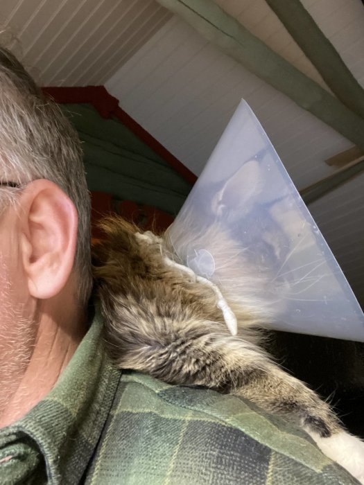 En person håller en katt som bär en trattkrage, nära sitt ansikte inomhus.