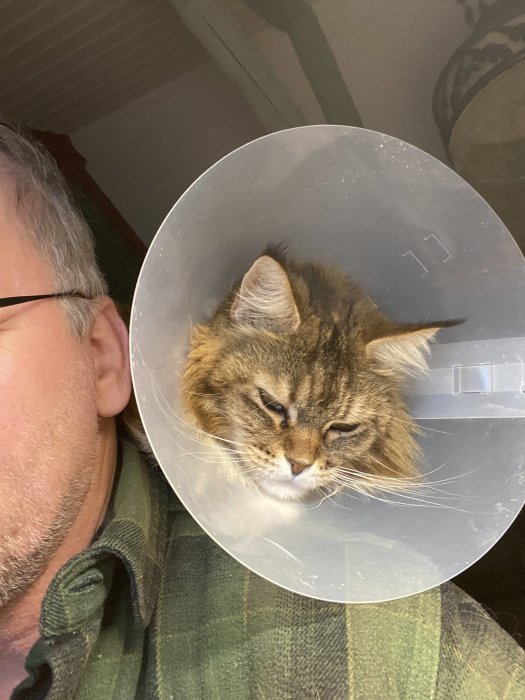 Man med glasögon, katt i trattkrage, troligen efter veterinärbesök, inomhus, olyckligt uttryck.