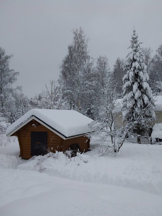 Trästuga täckt av snö, omgiven av snötäckta träd i ett vinterlandskap.