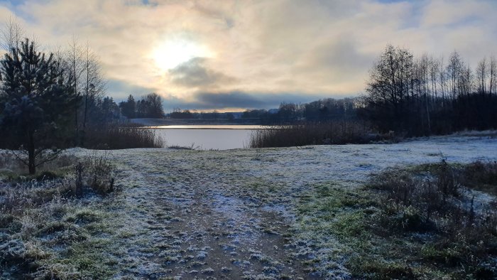 Vinterlandskap med frost, sjö, träd och molnigt soluppgångssken.