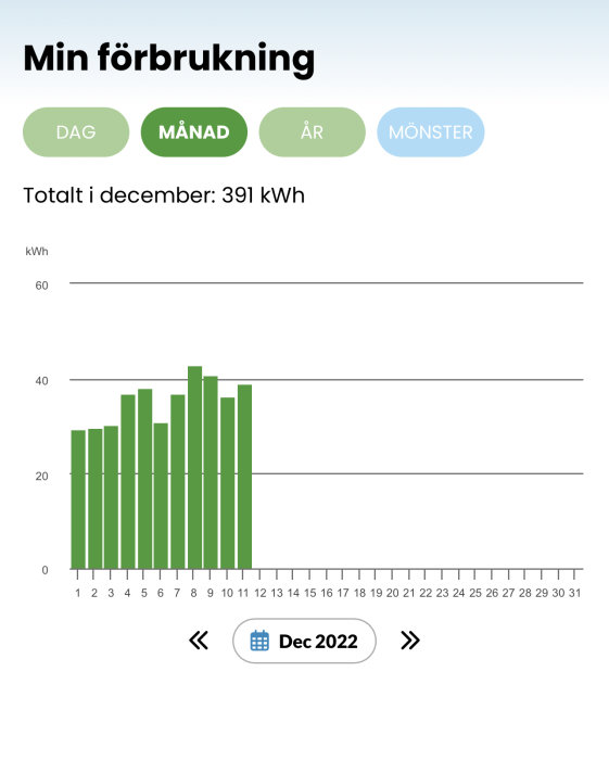 Energiförbrukningsdiagram för december 2022 visar totalt 391 kWh med dagliga förbrukningsdata.