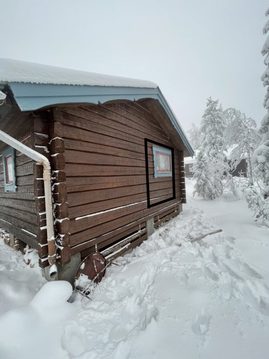 Trästuga i snöigt landskap, snö täcker tak och mark, vinter, kallt, snötäckta träd, dagsljus.