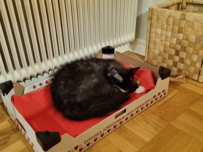 Svartvit katt sover i en kartong framför en radiator på ett rött täcke.