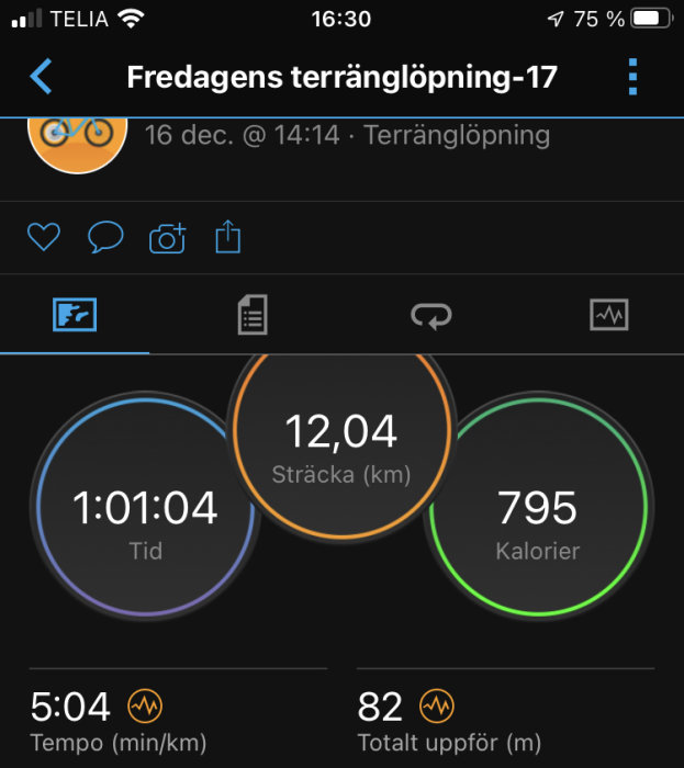 Skärmdump av fitness-app som visar terränglöpning; distans, tid, kaloriförbränning, tempo, och höjdskillnad noterade.