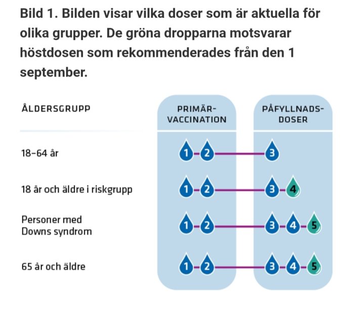 Rekommenderade vaccindoser för olika åldersgrupper och riskgrupper; inkluderar påfyllnadsdoser och höstdoser.