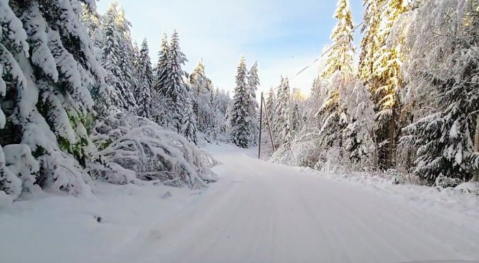 Snötäckt landsväg, solbelysta träd, vinterlandskap, klart väder, orörd natur, lugn och stillhet.