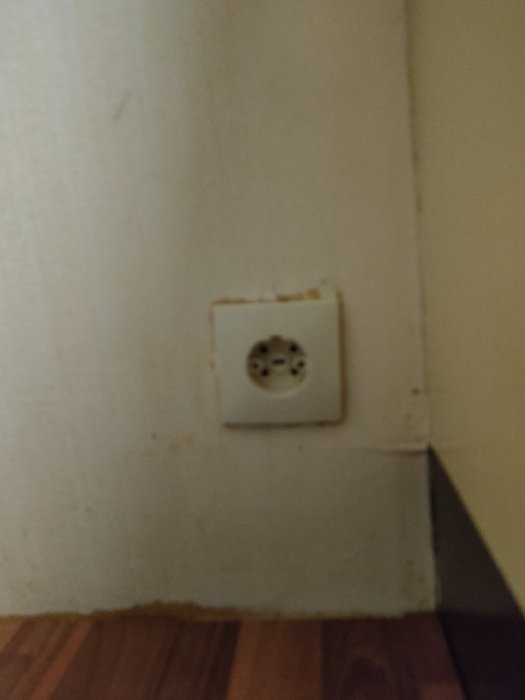 IMG20221217075324.jpg