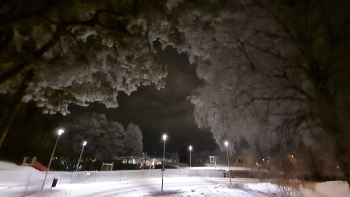 Natt, snötäckt landskap, frostiga träd, gatlyktor, mörk himmel, urban miljö, kallt, stilla, vinterkänsla.