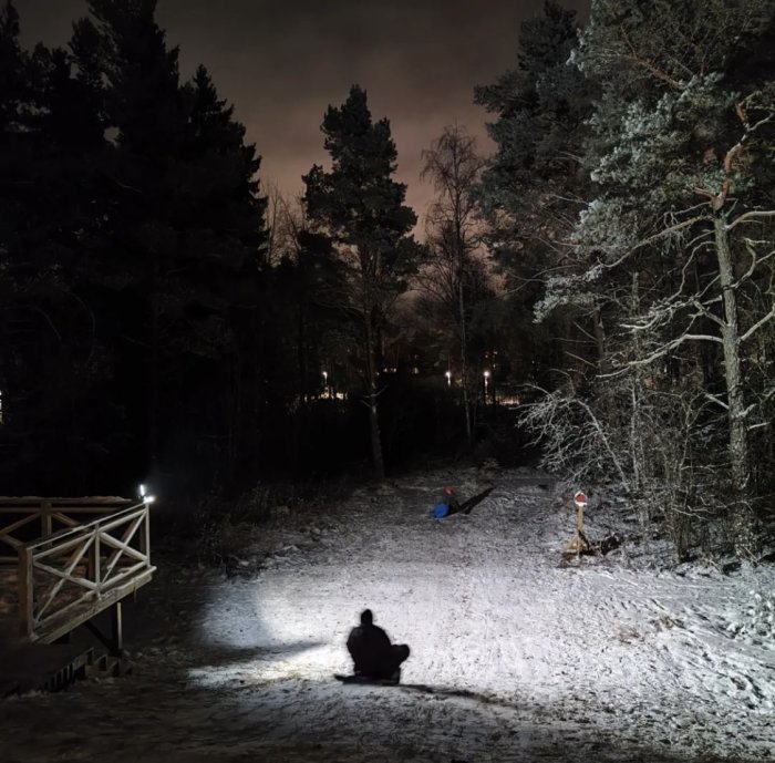 Natt, snö, personer och en hund leker, skogsbacke, konstgjort ljus, träbro, kvällsaktivitet i vinterlandskap.