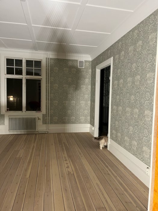 Ett rymligt, tomt rum med trägolv, mönstrade tapeter, en katt vid dörren.