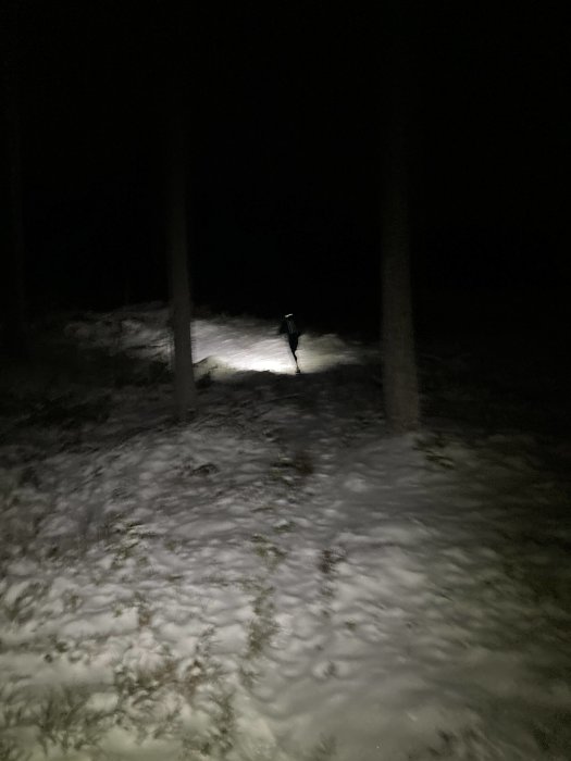 Natt, snö, mörk skog, en person med ficklampa, isolerad, kuslig atmosfär, spår i snön.