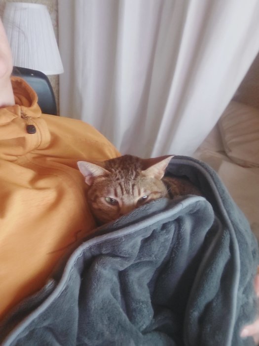 Person i orange tröja myser med katt insvept i mörk filt.