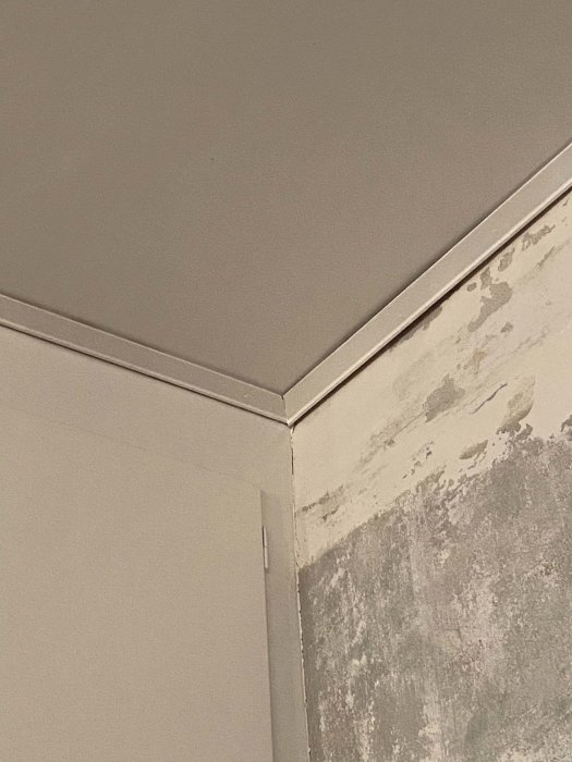 Hörn av ett rum med mögel och fuktskador på väggen och i taket.
