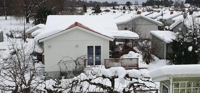 Vinter, snötäckt bostadsområde, vita enfamiljshus, nakna träd, grå himmel, fridfullt bostadsområde.