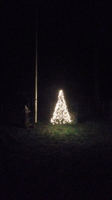 Ljusdekorerat julgran i mörkret, omgivet av svart natt och en stolpe.