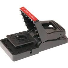 Svart plast råttfälla med röd utlösare och stark fjädermekanism, avsett för skadedjurskontroll.