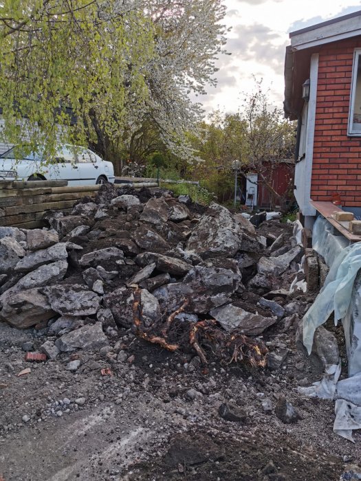 Stenröse nära rött hus, grönska, bygg- eller rivningsarbete pågår, vit bil i bakgrunden.