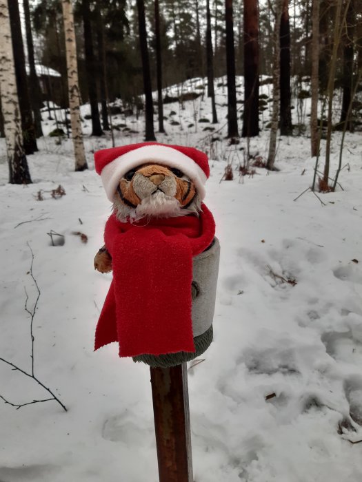 Gosedjur tiger i tomtedräkt sitter på stolpe, vinterskog i bakgrunden, snö på marken.