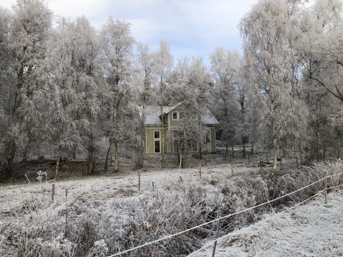 Vinterlandskap, frostiga träd, gammalt hus, öde natur, kallt, grått, vitt, ensligt, stillhet.