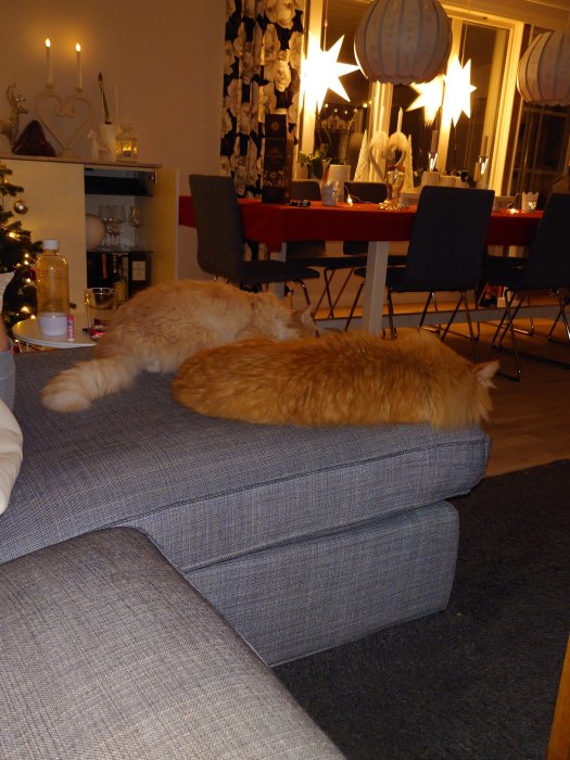 Ett mysigt vardagsrum med juldekorationer och två sovande katter på en soffa.