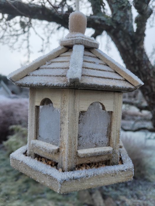 Fågelmatstation täckt med frost, hängande under träd, vinter, naturen i bakgrunden.