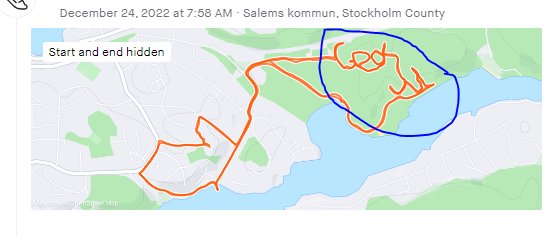 GPS-spårning av rörelse, överlappande vägar, skrivet textfragment, karta, sjö nära.