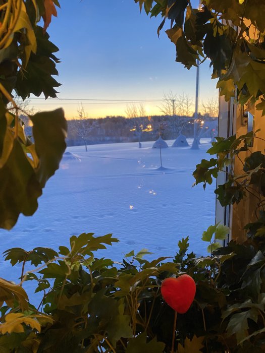 Inomhusvy med utsikt över snötäckt landskap vid skymning, dekorerad med gröna växter och ett rött hjärta.