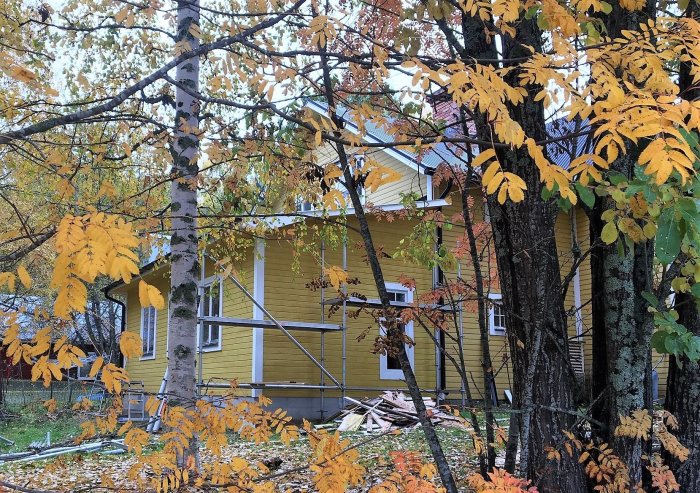 Ett gult trähus bakom höstfärgade lövträd och björkar, byggställning på sidan, spridda grenar och löv på marken.