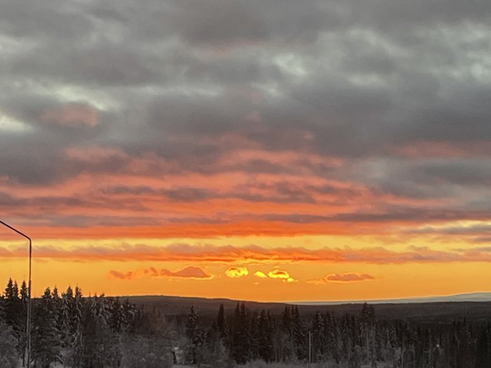 Dramatisk solnedgång med rika orange toner över snötäckt skog och moln.