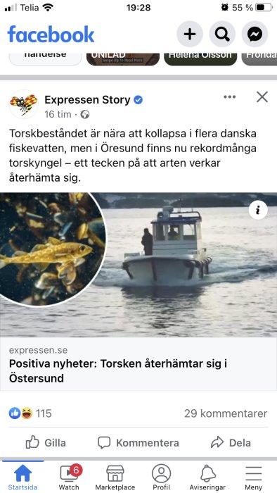 Facebook-skärmdump; Expressen-inlägg om återhämtande torskbekräftelse; fiskyngel-bild, båt på vattnet.