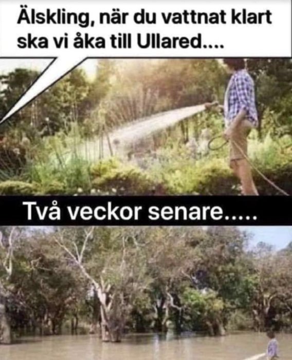 Humoristisk jämförelse av trädgårdsvattning som leder till översvämning två veckor senare.