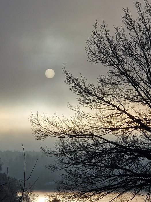 Dimmig himmel, solljus som bryter igenom, träd silhuett, lugnt vatten nedanför, sagolik naturstämning.