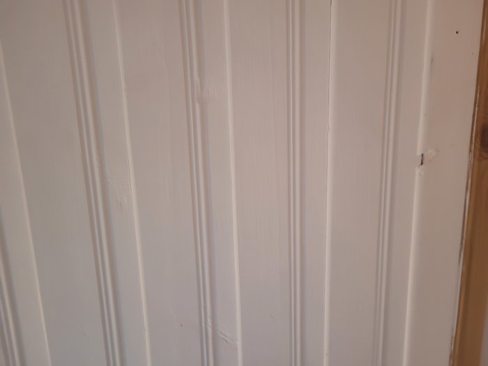 Vitt träpanel med vertikala linjer och några märken/smuts, närbild av vägg eller dörr.