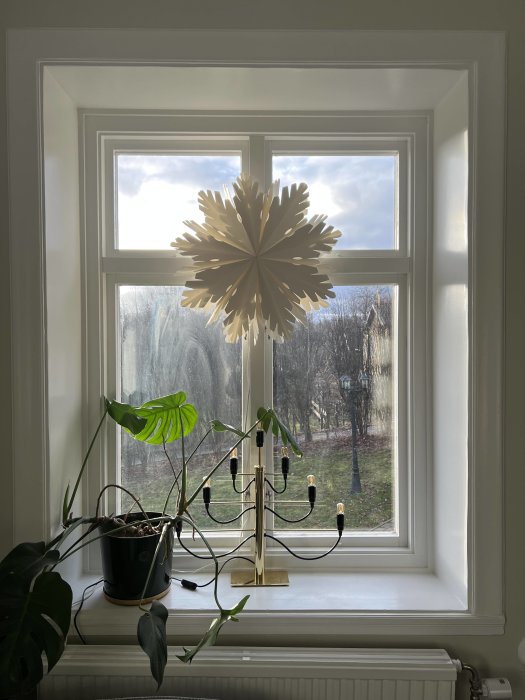 Ett fönster med dekorativ lampa, gröna växter och utsikt över träden utanför.