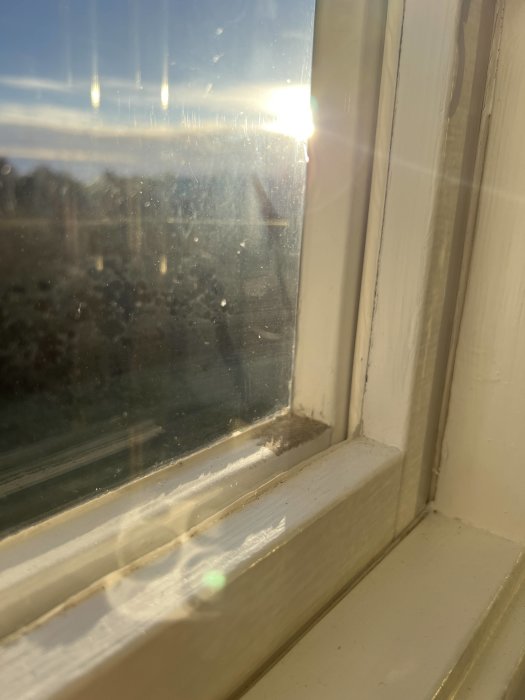 Solig utsikt genom smutsigt fönster, vita fönsterramar, reflektioner, eftermiddag eller morgonljus.