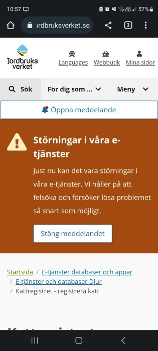 Skärmdump från webbsida, meddelar om störningar i e-tjänster, uppmanar snabblösning, Jordbruksverkets hemsida.