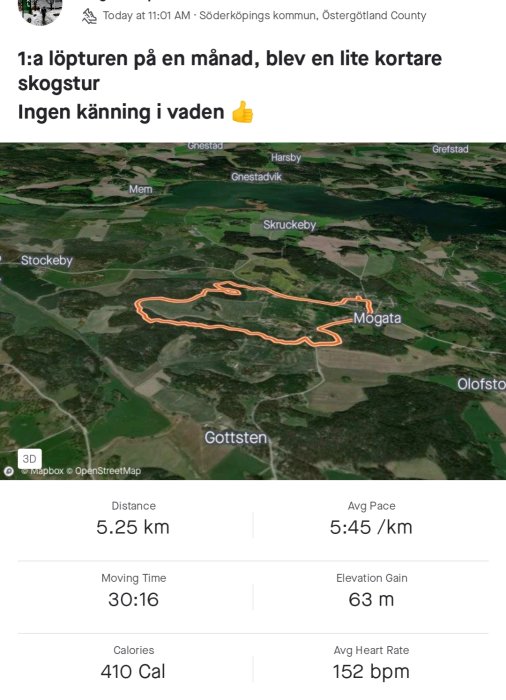 Skärmdump av löprunda, skogsvägar, 5,25 km, ingen smärta, 30 minuters löpning, kartbild.