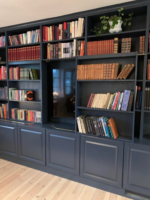 Mörkblå bokhylla full med böcker, spegel och en planta, på ljust trägolv.